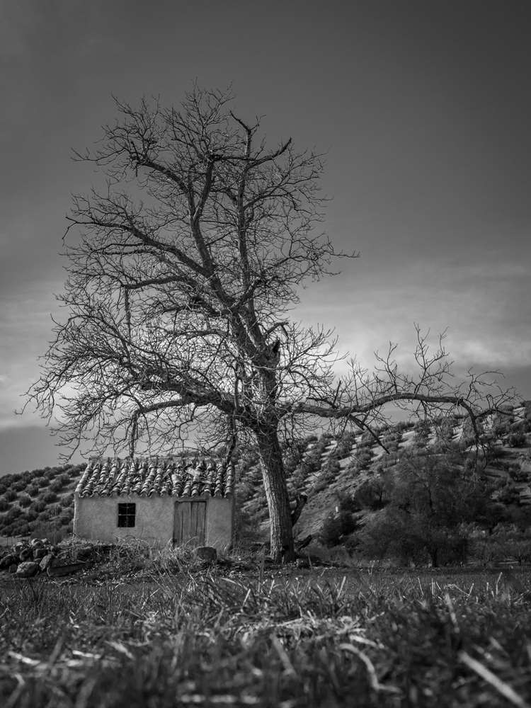 Proyecto Memoria Rural